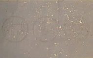 waterprinted.jpg (4559 bytes)