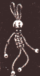 rabbit.gif (2261 bytes)