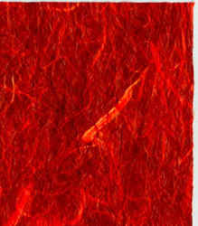 doubleside_red.jpg (9169 bytes)