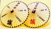 pj006.jpg (11212 bytes)