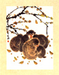 pic0701s.jpg (8442 bytes)
