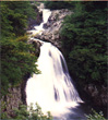pic0907s.jpg (8339 bytes)