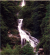 pic0908s.jpg (8010 bytes)
