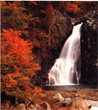 pic0910s.jpg (10105 bytes)