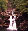 pic0912s.jpg (9460 bytes)